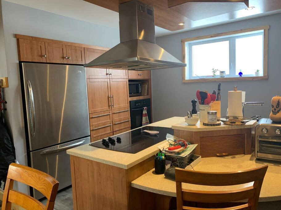 Appartement Mont Edouard, Hebergement Paisible A La Montagne LʼAnse-Saint-Jean Εξωτερικό φωτογραφία