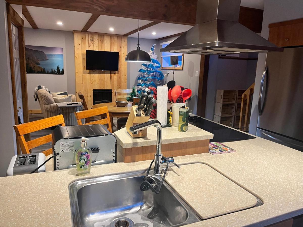 Appartement Mont Edouard, Hebergement Paisible A La Montagne LʼAnse-Saint-Jean Εξωτερικό φωτογραφία