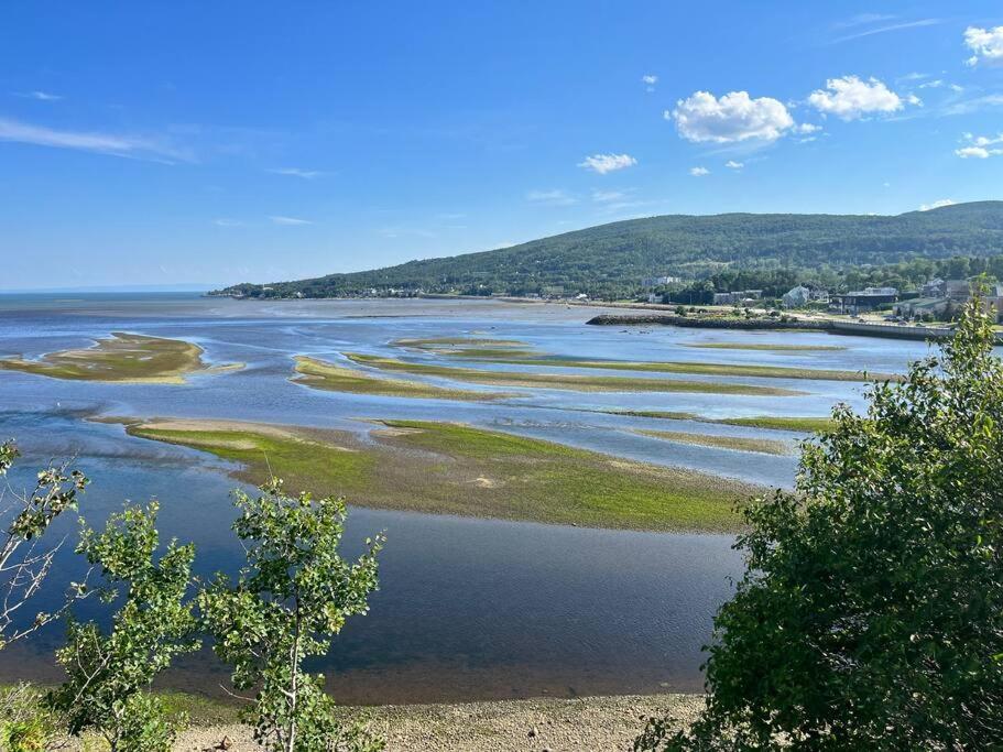 Appartement Mont Edouard, Hebergement Paisible A La Montagne LʼAnse-Saint-Jean Εξωτερικό φωτογραφία
