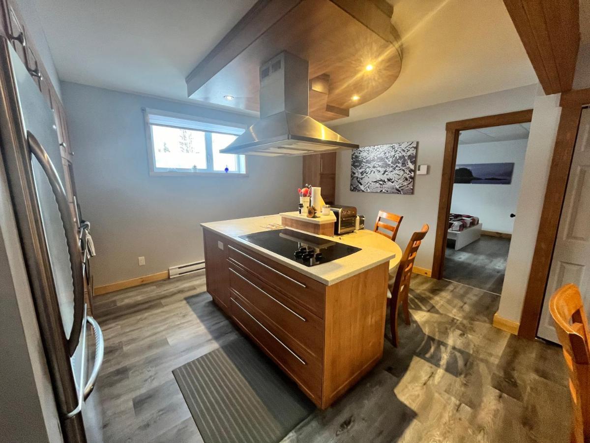 Appartement Mont Edouard, Hebergement Paisible A La Montagne LʼAnse-Saint-Jean Εξωτερικό φωτογραφία