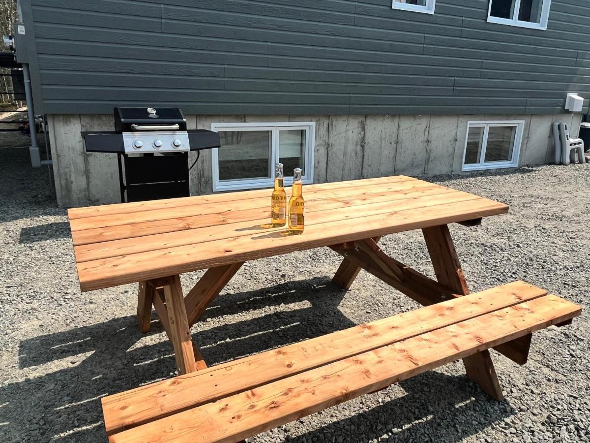 Appartement Mont Edouard, Hebergement Paisible A La Montagne LʼAnse-Saint-Jean Εξωτερικό φωτογραφία