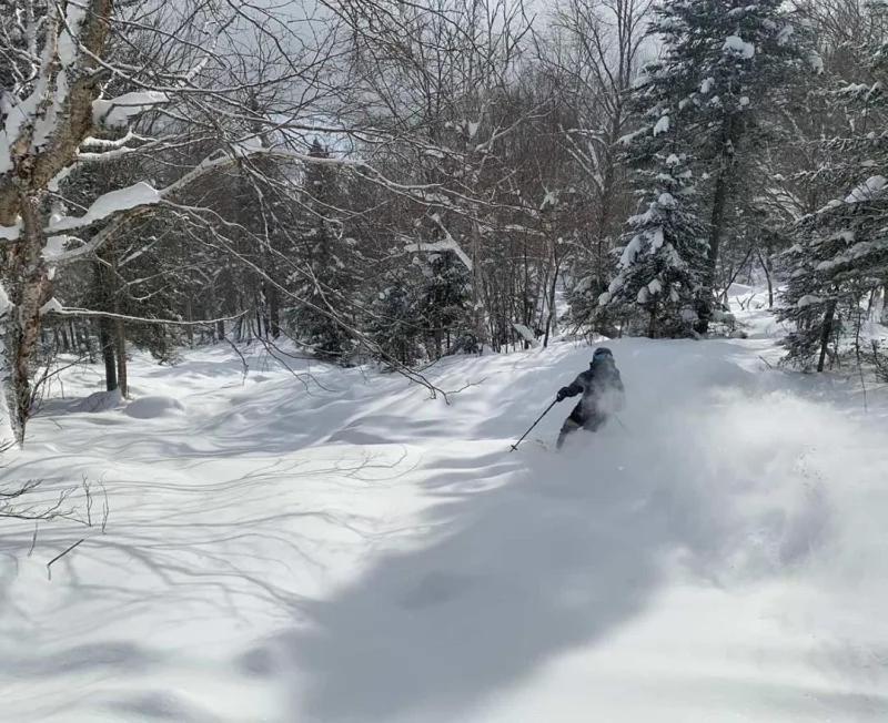 Appartement Mont Edouard, Hebergement Paisible A La Montagne LʼAnse-Saint-Jean Εξωτερικό φωτογραφία